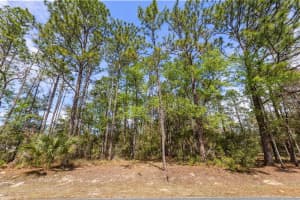 TBD 60TH STREET, DUNNELLON, FL 34432 - MLS#MFRG5093570