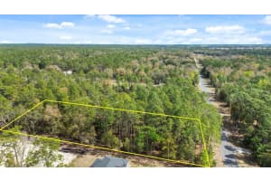 TBD 60TH STREET, DUNNELLON, FL 34432 - MLS#MFRG5093570