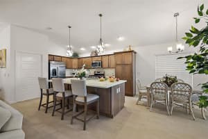 1603 MCMURTRIE LOOP, THE VILLAGES, FL 34762 Sold 06/23/25