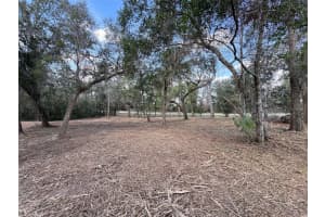 SPRUCE TERRACE WAY, OCALA, FL 34472 Sold 07/31/25