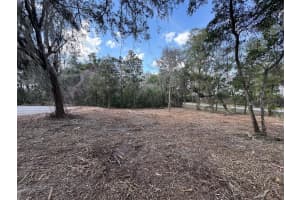SPRUCE TERRACE WAY, OCALA, FL 34472 Sold 07/31/25