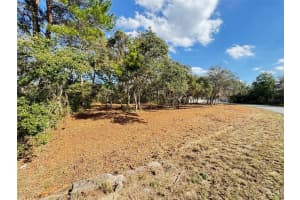 OAK CIRCLE, OCALA, FL 34472 - MLS#MFRG5093766