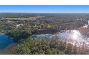 39615 FOREST DRIVE, EUSTIS, FL 32736 Sold 05/20/25