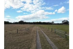 993 CR 722, WEBSTER, FL 33597 - MLS#MFRG5093805