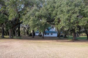 993 CR 722, WEBSTER, FL 33597 - MLS#MFRG5093805