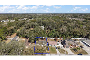 151 SHILOH AVENUE, LADY LAKE, FL 32159 Sold 05/14/25