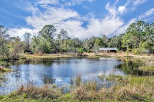 42141 CHINABERRY STREET, EUSTIS, FL 32736 Sold 05/15/25
