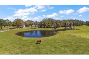 6813 FORK RANCH DRIVE, CLERMONT, FL 34714 Sold 07/30/25