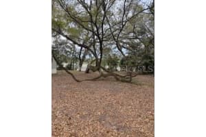 16864 6TH LANE ROAD, SILVER SPRINGS, FL 34488 Sold 04/04/25