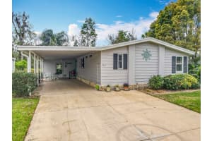 3211 MYAKKA RIVER ROAD, TAVARES, FL 32778 Sold 06/03/25