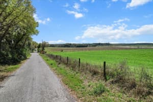 NW 225TH AVE, DUNNELLON, FL 34431 - MLS#MFRG5094195