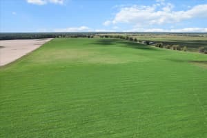 NW 225TH AVE, DUNNELLON, FL 34431 - MLS#MFRG5094195