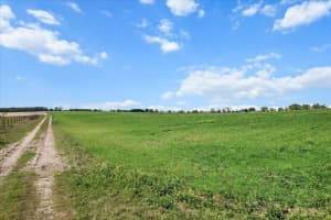 NW 225TH AVE, DUNNELLON, FL 34431 - MLS#MFRG5094195