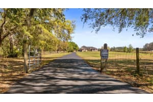 21046 COUNTY ROAD 33, GROVELAND, FL 34736 - MLS#MFRG5094229