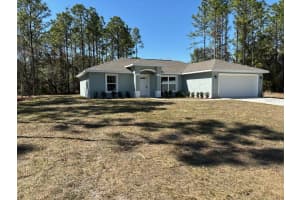 8236 TINY LILY DRIVE, CITRUS SPRINGS, FL 34434 Sold 03/28/25