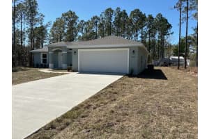 8236 TINY LILY DRIVE, CITRUS SPRINGS, FL 34434 Sold 03/28/25