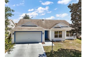 1419 SEGOVIA PLACE, THE VILLAGES, FL 32162 Sold 04/04/25