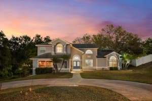 12815 KATHERINE CIRCLE, CLERMONT, FL 34711 - MLS#MFRG5094260