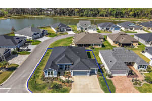 2919 MONUMENT WAY, THE VILLAGES, FL 32163 Sold 05/12/25