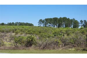 0 THRILL HILL ROAD, EUSTIS, FL 32736 - MLS#MFRG5094306