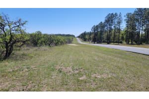 0 THRILL HILL ROAD, EUSTIS, FL 32736 - MLS#MFRG5094306