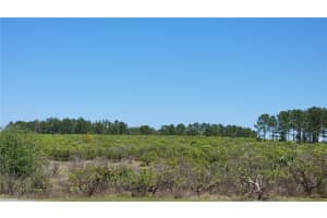 0 THRILL HILL ROAD, EUSTIS, FL 32736 - MLS#MFRG5094306