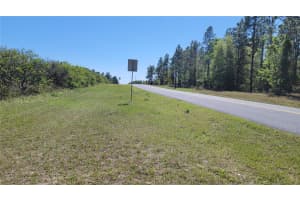 0 THRILL HILL ROAD, EUSTIS, FL 32736 - MLS#MFRG5094306