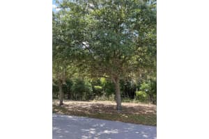 TBD GRASS ROOTS ROAD, GROVELAND, FL 34736 - MLS#MFRG5094325