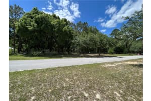TBD GRASS ROOTS ROAD, GROVELAND, FL 34736 - MLS#MFRG5094325
