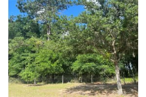 TBD GRASS ROOTS ROAD, GROVELAND, FL 34736 - MLS#MFRG5094325
