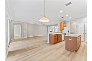 11759 91ST CIRCLE, SUMMERFIELD, FL 34491 - MLS#MFRG5094427