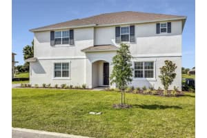 17732 Sawgrass Run, TAVARES