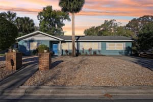 219 N Rossiter St, MOUNT DORA