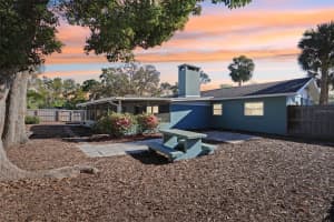 219 ROSSITER STREET, MOUNT DORA, FL 32757 - MLS#MFRG5094553