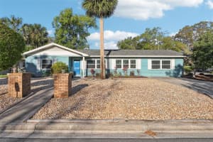 219 ROSSITER STREET, MOUNT DORA, FL 32757 - MLS#MFRG5094553