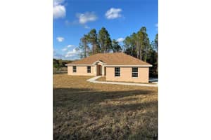 11125 119TH STREET, BELLEVIEW, FL 34420 - MLS#MFRG5094614