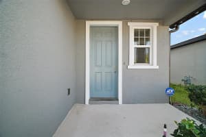 29447 CASPIAN ST, LEESBURG, FL 34748 Sold 04/25/25