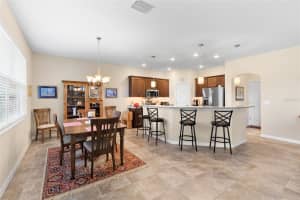3666 ARLINGTON RIDGE BOULEVARD, LEESBURG, FL 34748 Sold 04/29/25