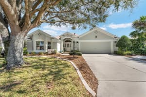 17089 Se 79th Clearview Ave, THE VILLAGES