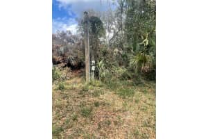 291 81ST STREET, OCALA, FL 34480 - MLS#MFRG5094814