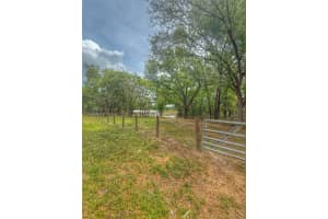15991 SE 258TH AVE RD, UMATILLA, FL 32784 Sold 06/13/25