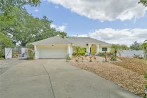 202 N Palm Ave, HOWEY IN THE HILLS