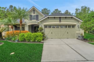 20816 SULLIVAN RANCH BOULEVARD, MOUNT DORA, FL 32757 Sold 05/07/25