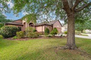 3048 NEW HAVEN PLACE, MOUNT DORA, FL 32757 Sold 08/22/25
