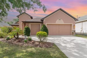 3048 NEW HAVEN PLACE, MOUNT DORA, FL 32757 Sold 08/22/25
