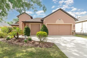 3048 NEW HAVEN PLACE, MOUNT DORA, FL 32757 Sold 08/22/25