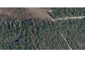 NO STREET, NEW SMYRNA BEACH, FL 32168 - MLS#MFRG5095117