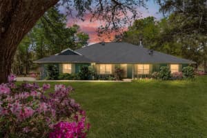 10159 174TH STREET, SUMMERFIELD, FL 34491 Sold 05/30/25