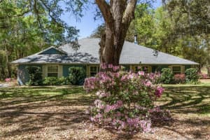 10159 174TH STREET, SUMMERFIELD, FL 34491 Sold 05/30/25