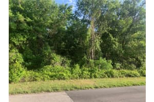EMPIRE CHURCH RD, GROVELAND, FL 34736 - MLS#MFRG5095278